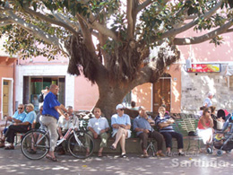 Friends of Sardinia